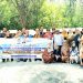 FISIP UMSU: Launching FISIP UMSU Bicara di Pantai Mangrove Serdang Bedagai